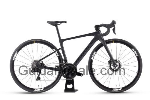 Ribble Endurance SL R Series scheda tecnica 